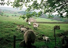 1974 UK Yorkshire Dales 029